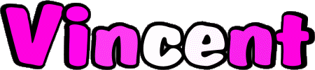 Vincent V MASCULIN - France Prénoms 