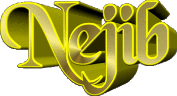 Nejib N MASCULINO - Magreb Musulmán Nombre 