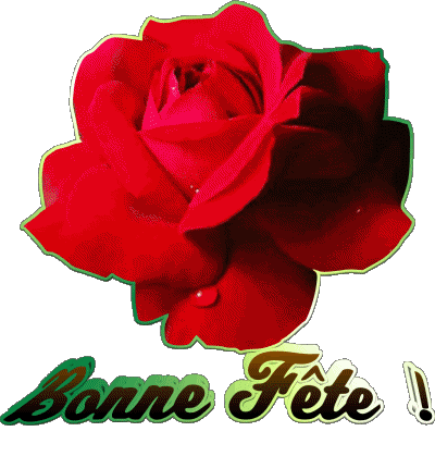 01 Bonne Fête Französisch Nachrichten 