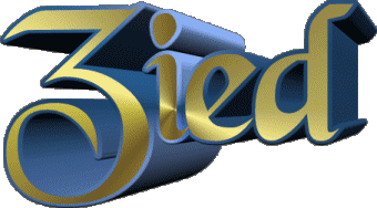 Zied Z MASCULINE - Maghreb Muslim First Names 