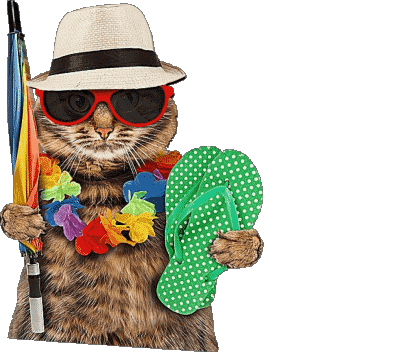 30 Fondo transparente Felices Vacaciones Español Mensajes 