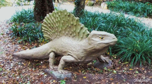 Stéreoscopique Wiggle 3d Effects Humor -  Fun 