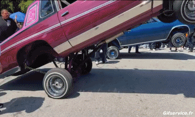 Lowriding Coches Transporte Humor - Fun 