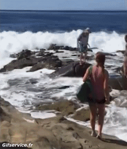 Von Seaside Orte Humor -  Fun 