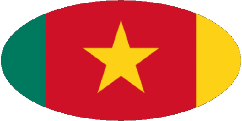 Diverso Camerún África Banderas 