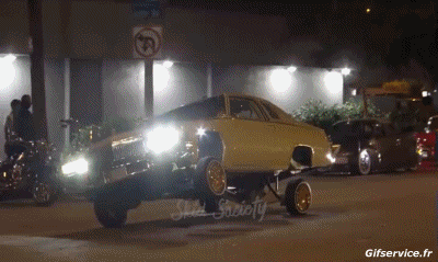 Lowriding Autos Transport Humor -  Fun 