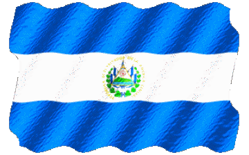 Ondulación El Salvador América Banderas 