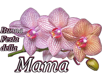 05 Buona Festa della Mamma Italian Messages 