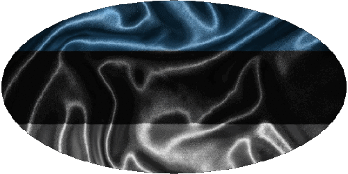 Oval Estonia Europe Flags 
