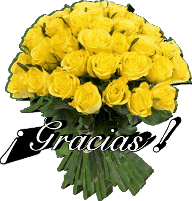 007 Gracias Spagnolo Messagi 