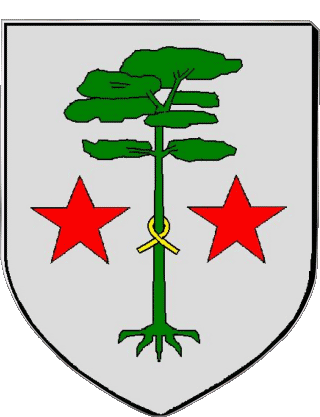 BISCARROSSE 40 Departamentos - Ciudades Francia Banderas 