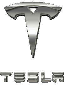 Logo Tesla Wagen Transport 