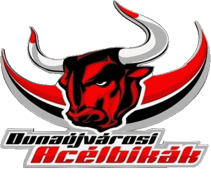 Dunaújvárosi Acélbikák Hongrie Hockey - Clubs Sports 