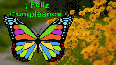 004 Fond Animé Mariposas Feliz Cumpleaños Espagnol Messages 