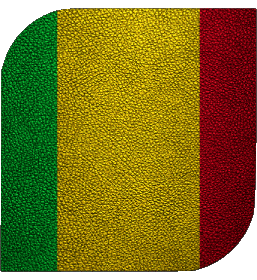 Plaza Mali África Banderas 