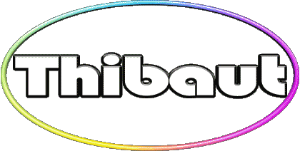 Thibaut T MASCULIN - France Prénoms 
