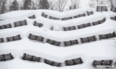 Free Ride Fun Win Ski Sport Humor -  Fun 