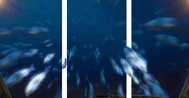 3D - Linee - Bande Effetti 3d Umorismo -  Fun 