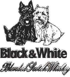 Black and White Whisky Bebidas 