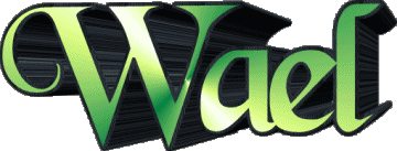 Wael W MANN - Maghreb Muslim Vorname 