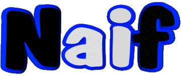 Naif N MASCULINE - Maghreb Muslim First Names 