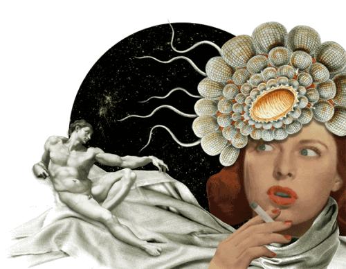 Isabel Chiara GIF Artistes Humour - Fun 