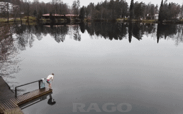 Fun - Win Sul ghiaccio PERSONE Umorismo -  Fun 