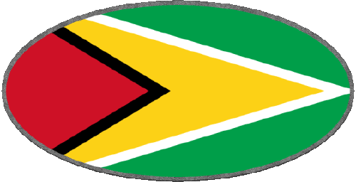Oval Guyana America Flags 