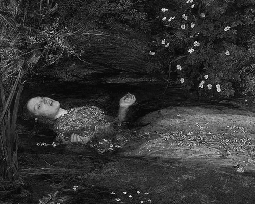 Bill Domonkos GIF Artista Umorismo -  Fun 