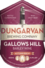 Dungarvan Irland Bier Getränke 