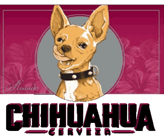 Chihuahua-Cerveza Mexico Beers Drinks 