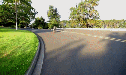 Fun - Win Trike Drifting Sport Humor -  Fun 