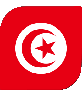 Square Tunisia Africa Flags 