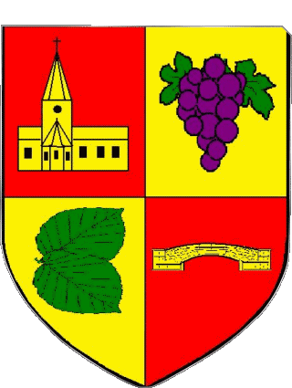 Blasón-Blasón VERNIOLLE 09 Departamentos - Ciudades Francia Banderas 