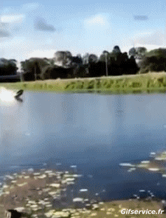 Fun - Win Barcos Transporte Humor - Fun 