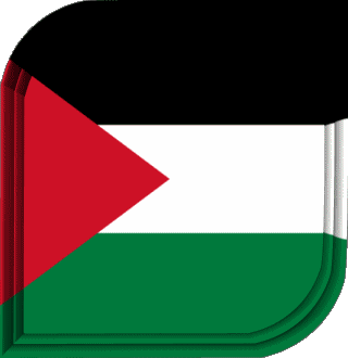 Square Palestina Asia Banderas 