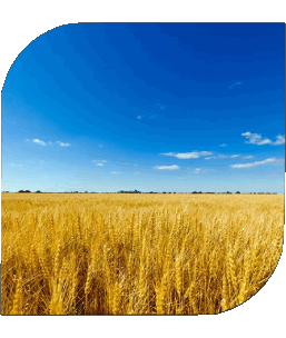 Quadrato Ucraina Europa Bandiere 