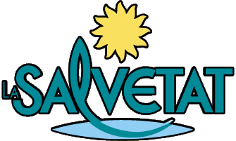 Salvetat Mineral water Drinks 