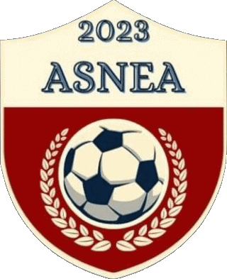 Association Sportive Nord-Est-Anjou 49 - Maine-et-Loire Pays de la Loire FootBall Club France Logo Sports 