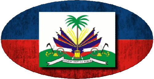 Oval Haiti Amerika Fahnen 