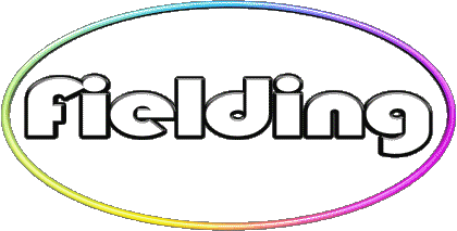 Fielding F MANN - UK - USA - IRL - AUS - NZ Vorname 