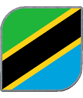 Square Tanzania Africa Flags 