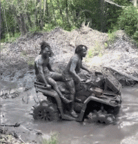 Fun - Win Quad Transport Humor -  Fun 