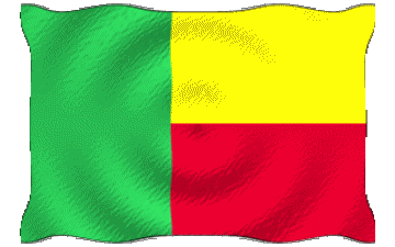 Ondulation Benin Afrique Drapeaux 