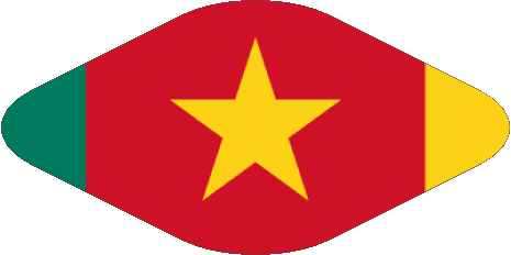 Diverso Camerún África Banderas 