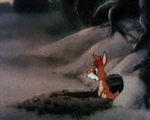 Doggone Tired Tex Avery Cartoons TV Filme Multimedia 