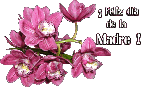 020 Feliz día de la madre Español Mensajes 