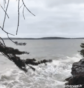 Bord de Mer Lieux - Nature Humour - Fun 