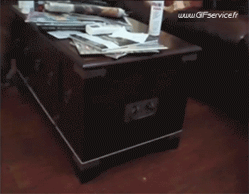 Serie 02 Chiens Animaux Humour - Fun 