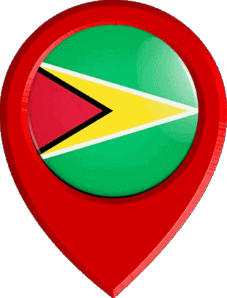 Perno di posizione Guyana America Bandiere 